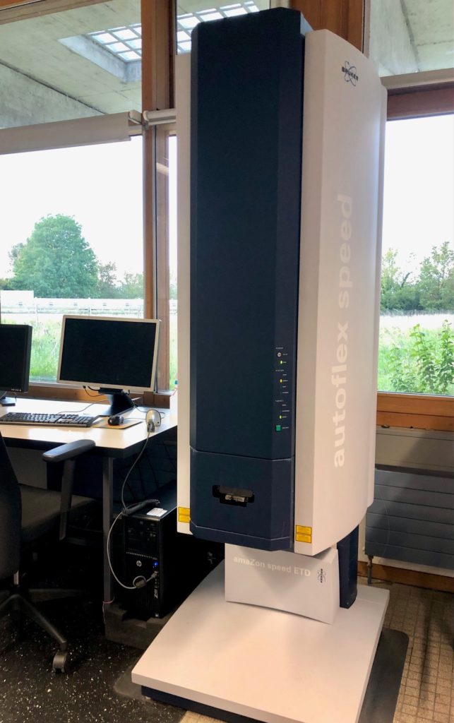 MALDI-TOF Autoflex Speed