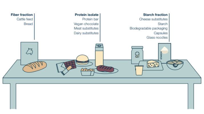 Protein Application Center